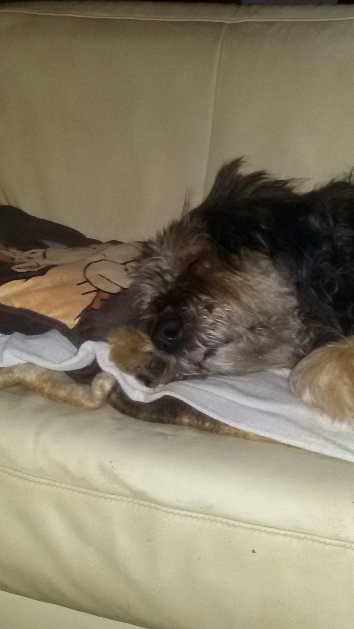 Micki