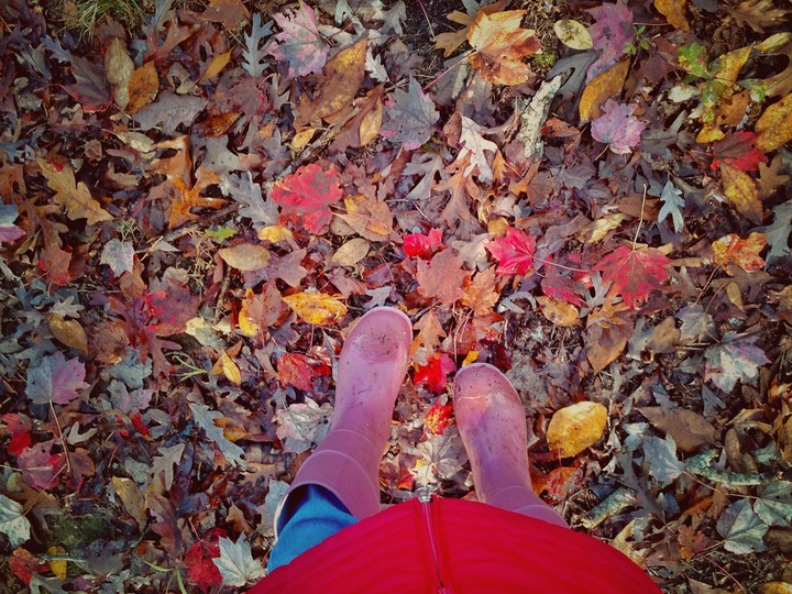 Rainy Day Walk