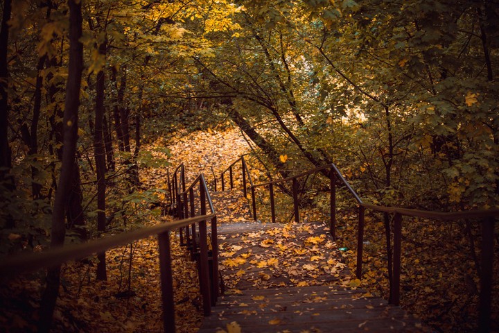 лестница в парке