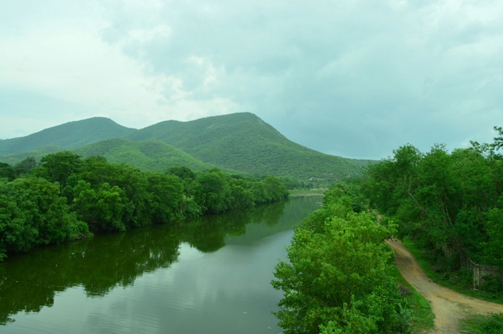 green view