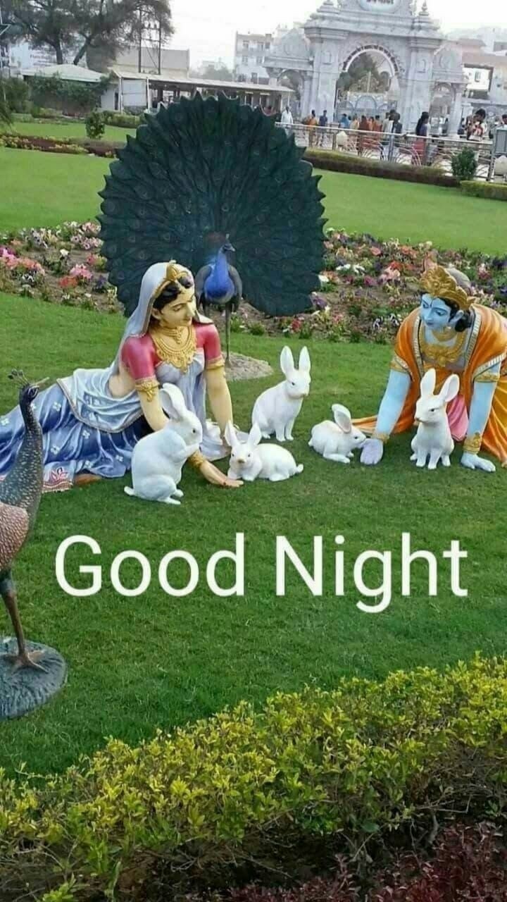 good night