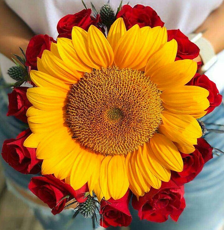 good morning