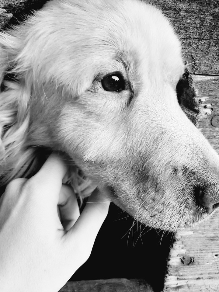 Marley
