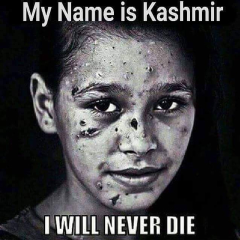 we want peace ☮️