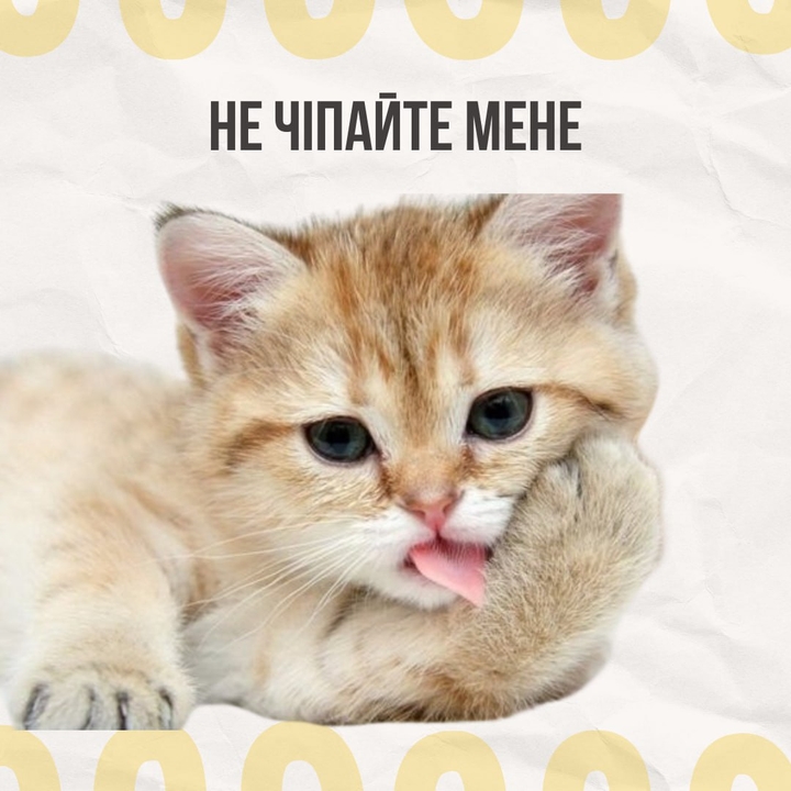 .