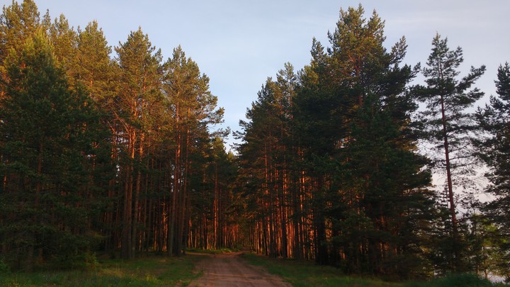 Evening in Valdai
