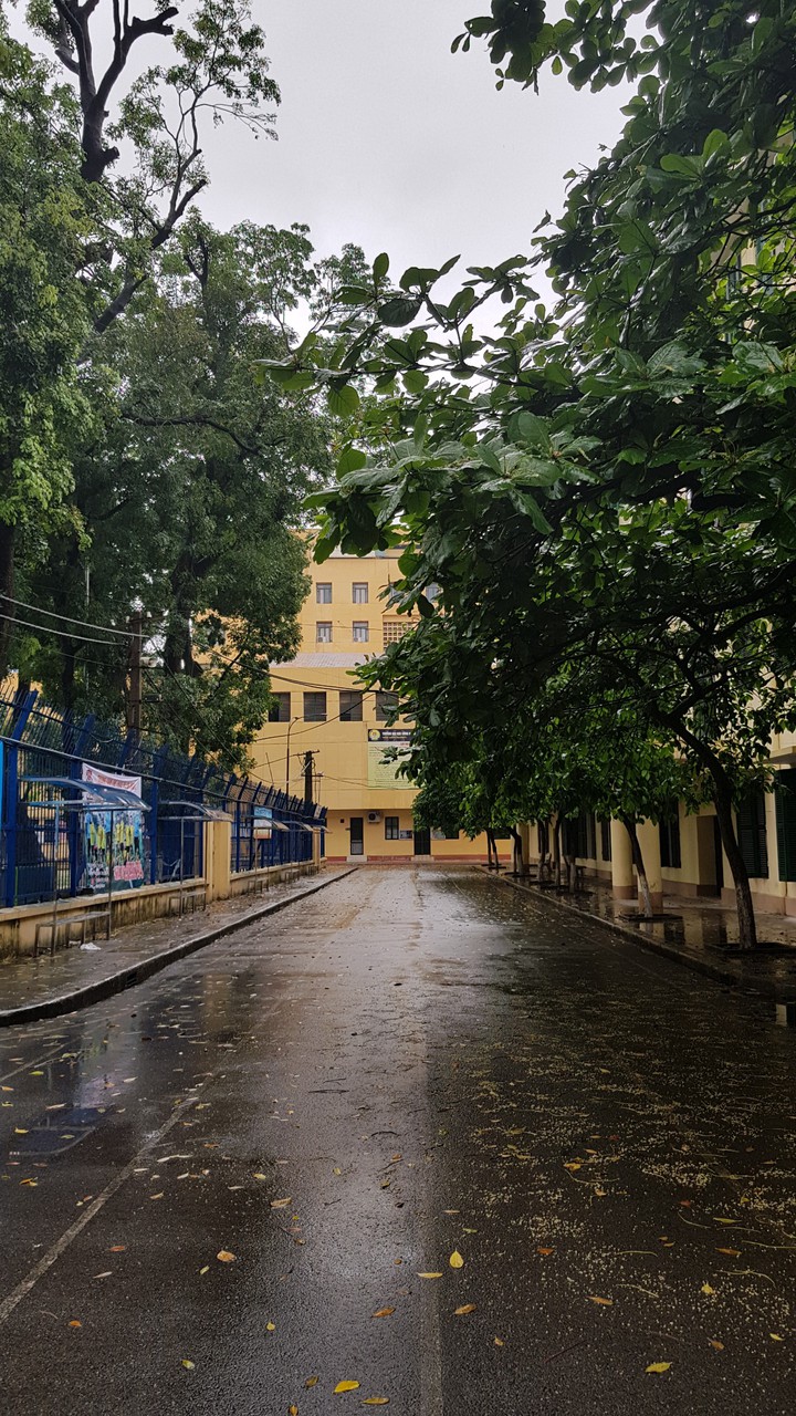 A rainy run