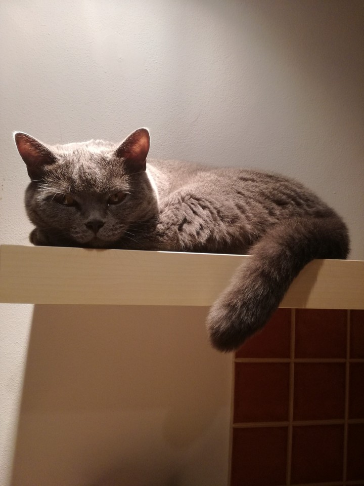 :-)
