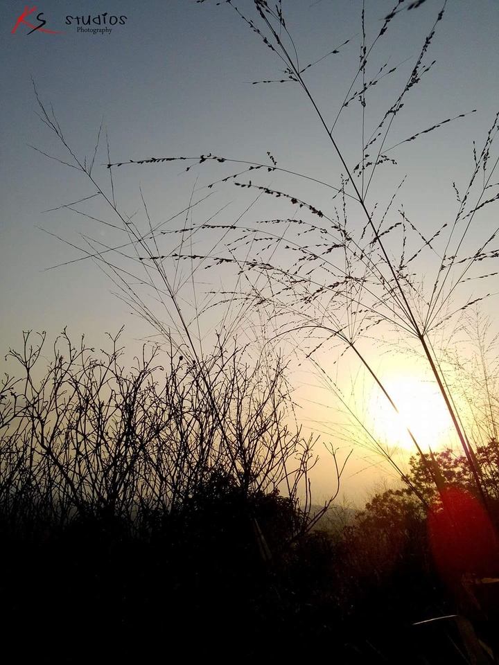 evening