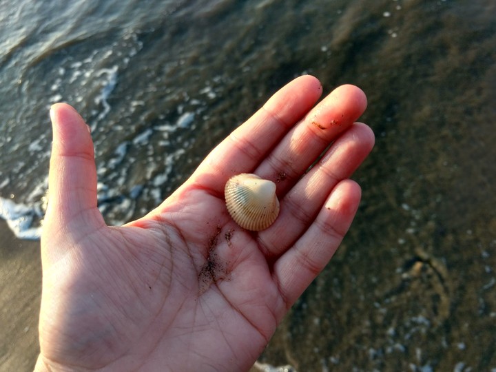 sea