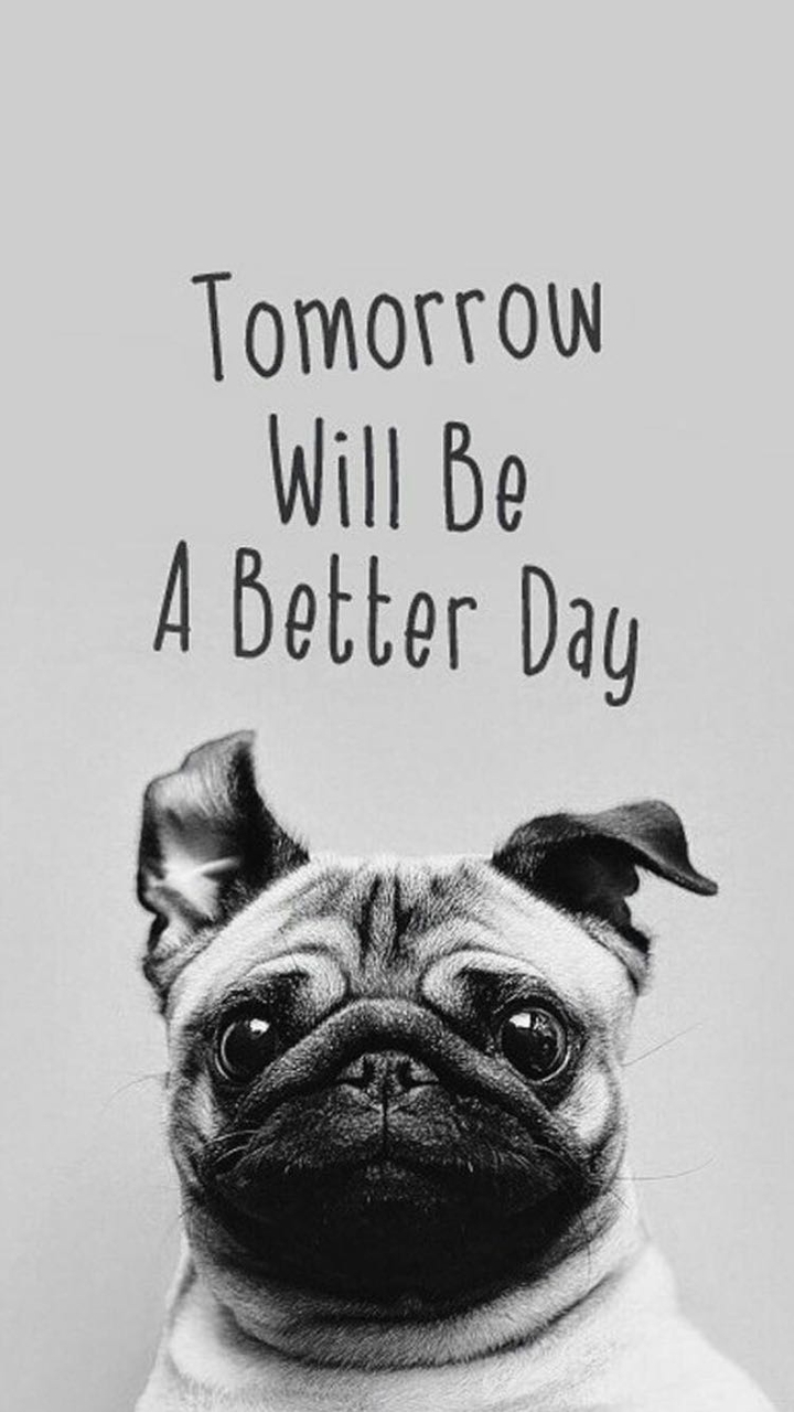 have a good day