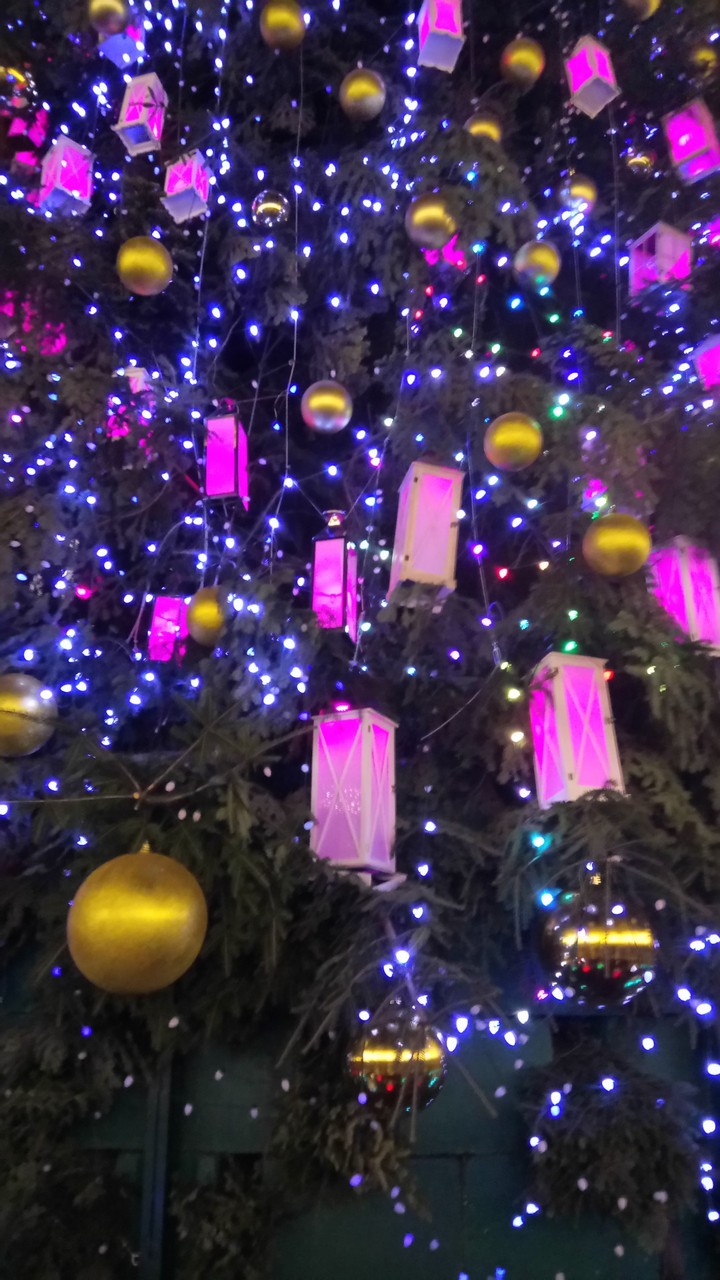christmas tree