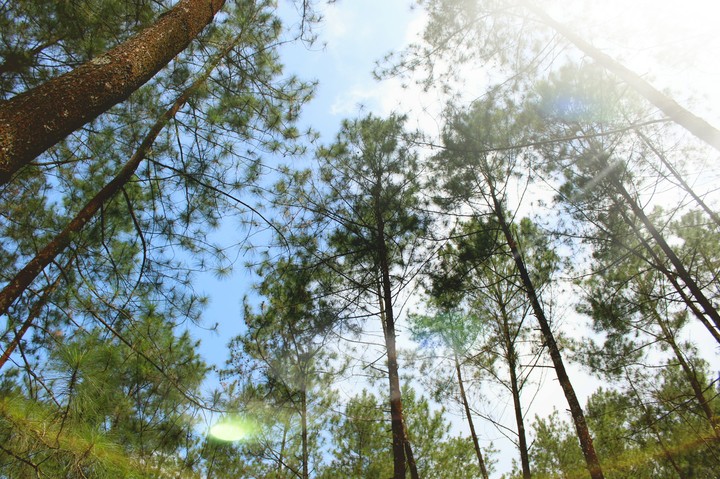 scenery
