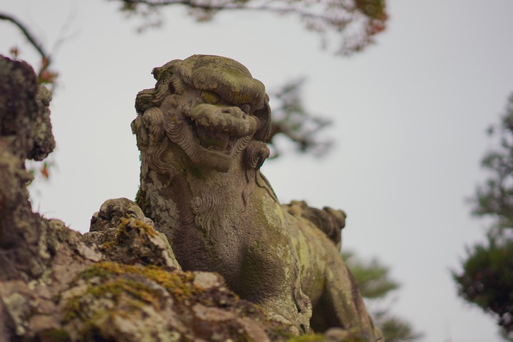 zou
