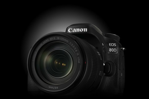Canon 80d