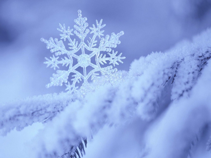 neige