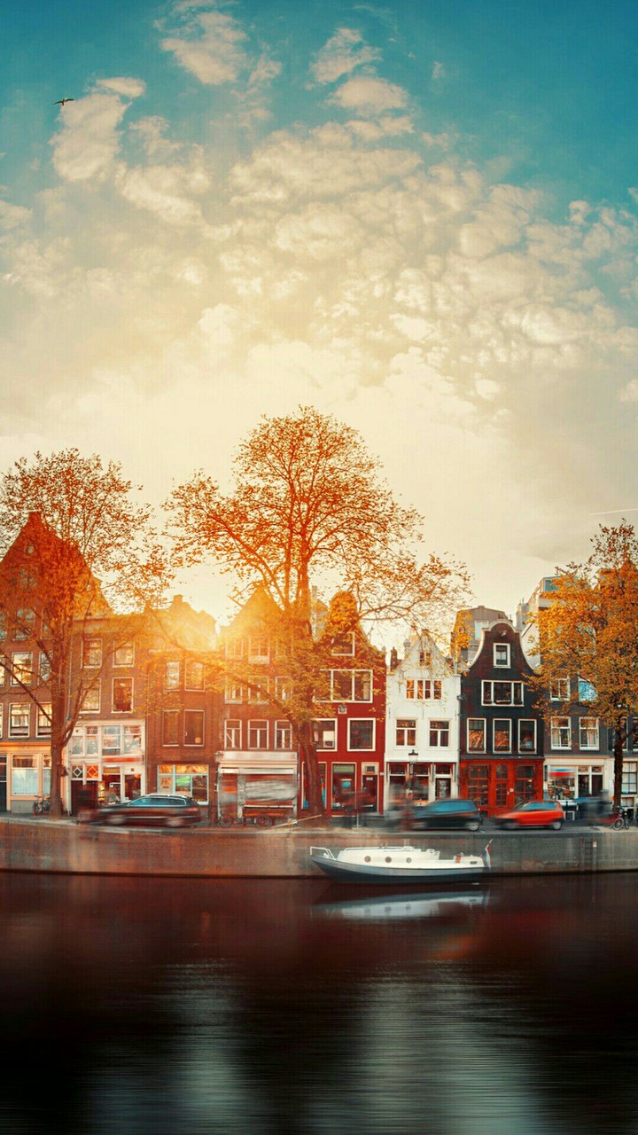 THE COLORS HOUSES AND SHINING SUN