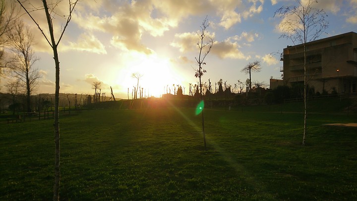 sun light