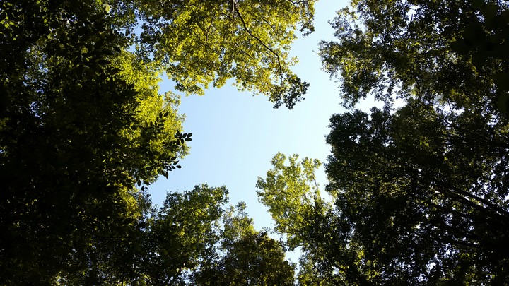 sky