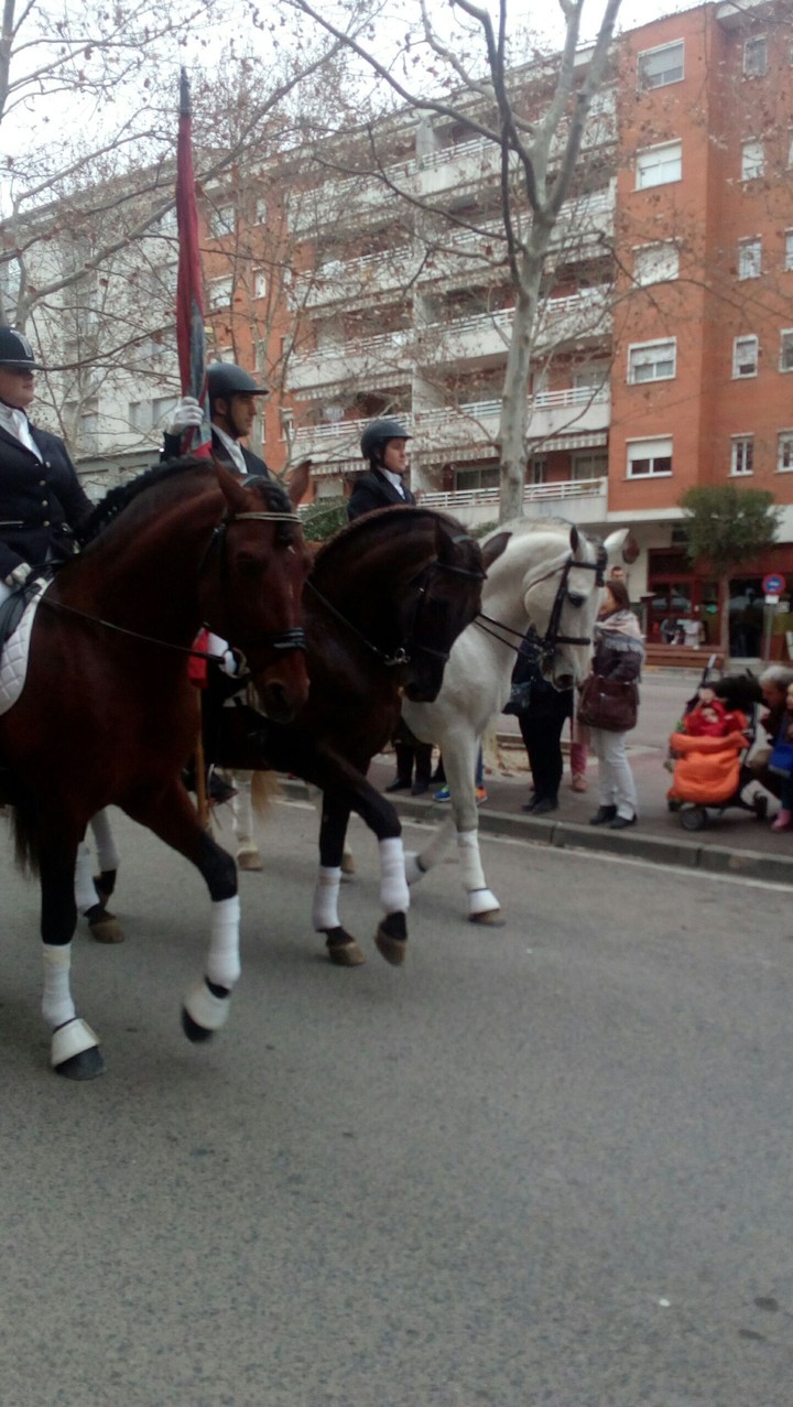 #horse