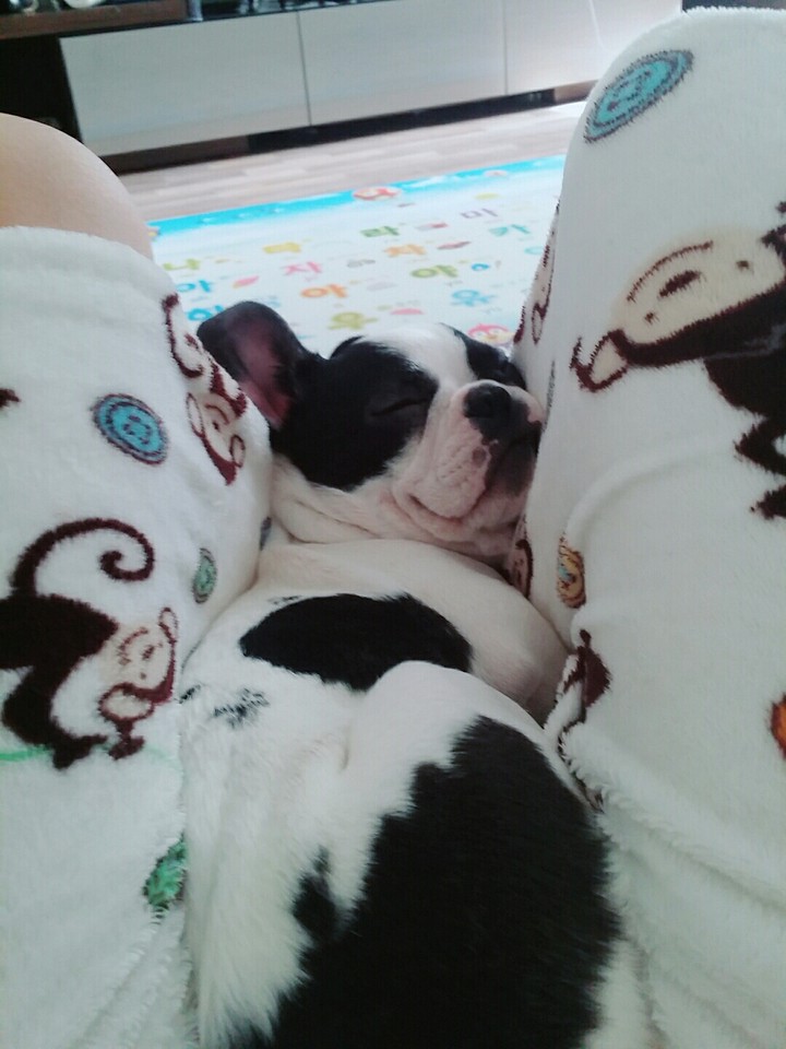 lol lol lol ♡♡