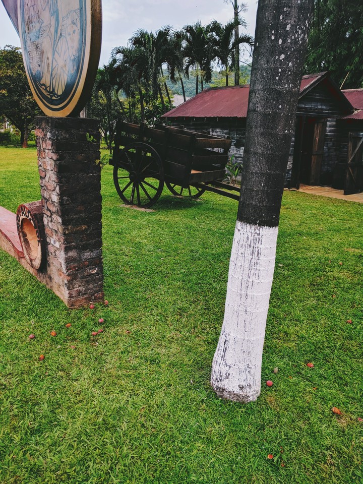 Appleton Estate Jamaica