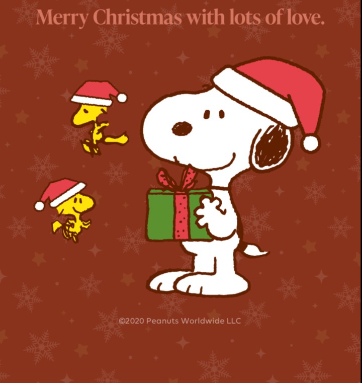 Merry Christmas with Lots of Love ❤️