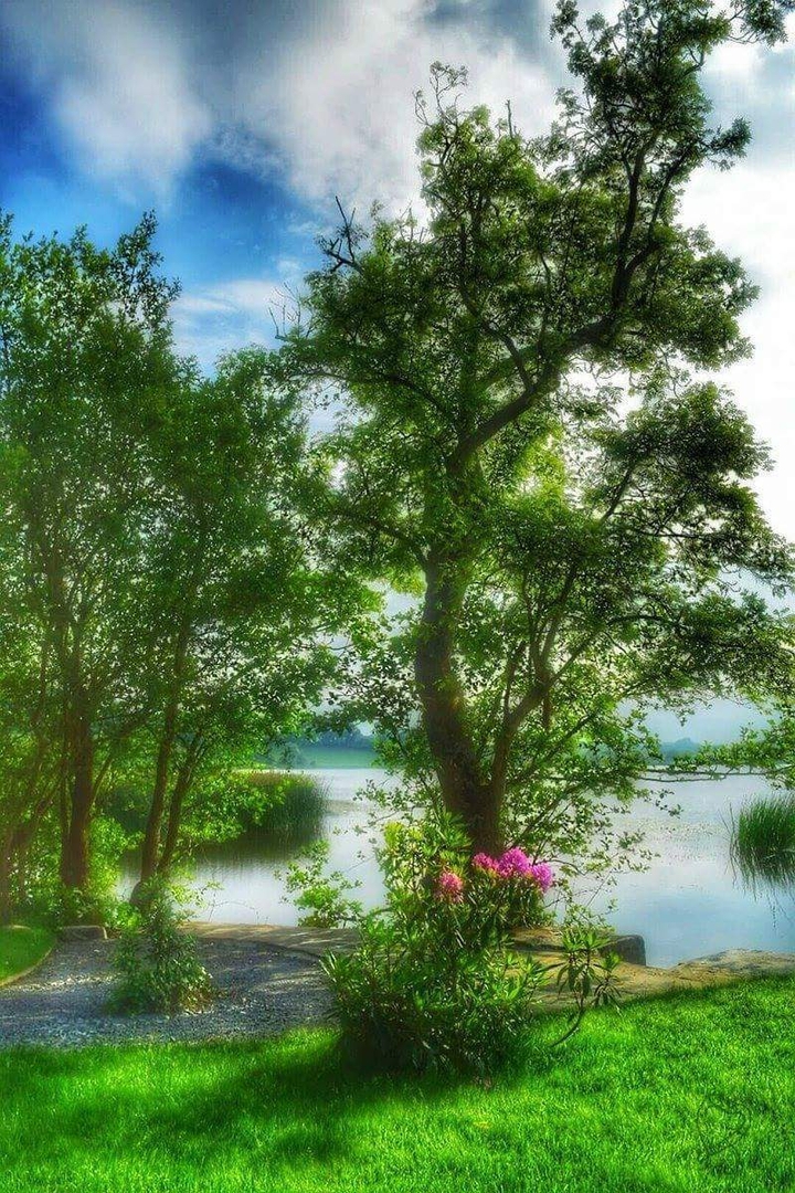 nature