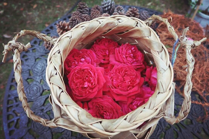 SK~flowers
