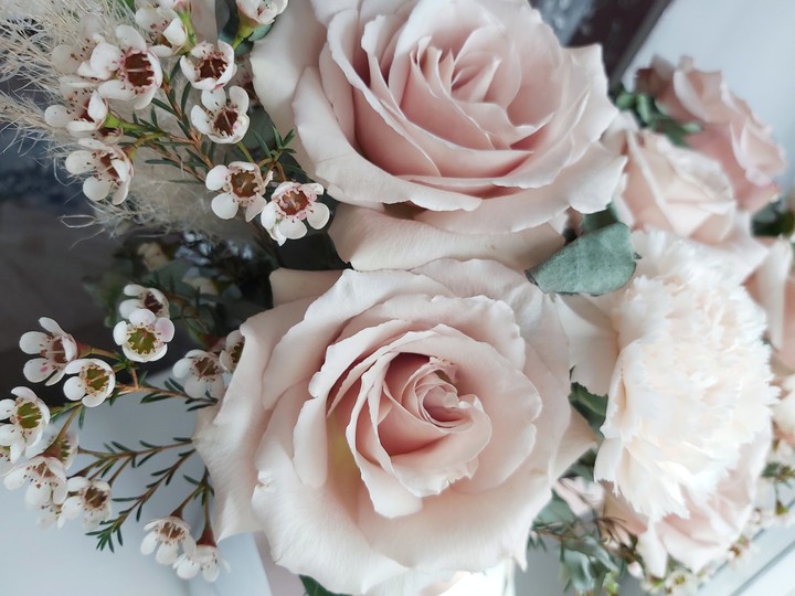 beautiful flowers