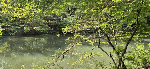тапети vegetation, Bank