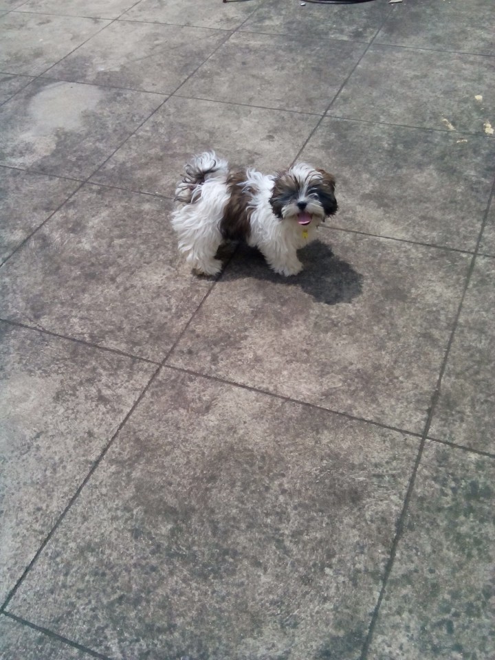 Boney