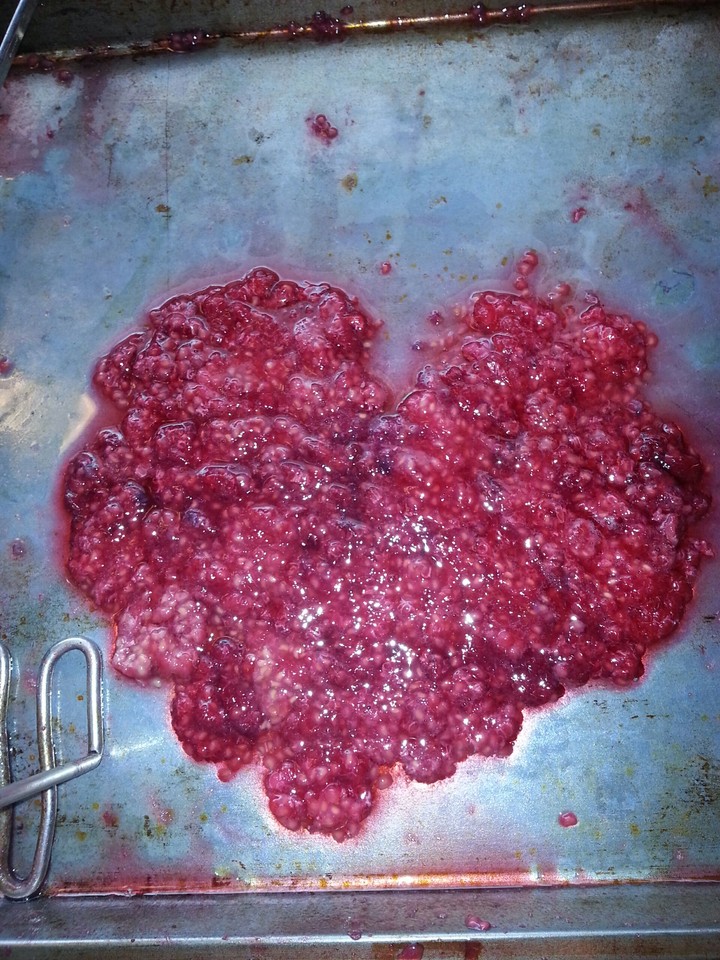 Raspberry Love