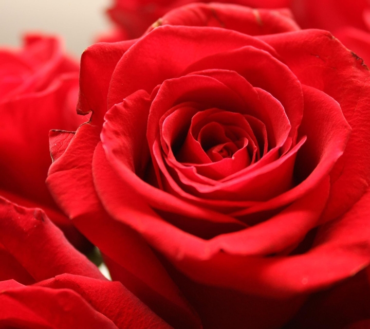 ####flowers