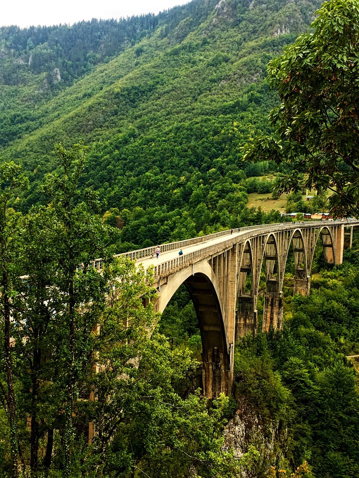 Tara Bridge