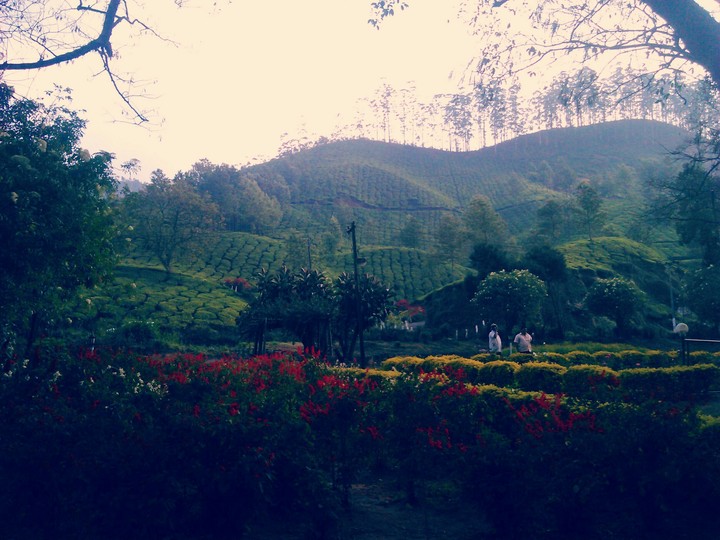valley
