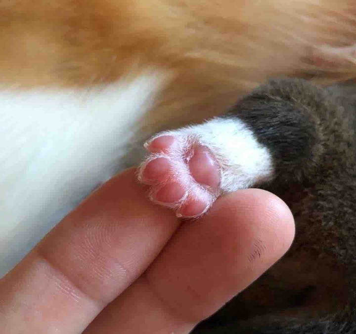 cute
