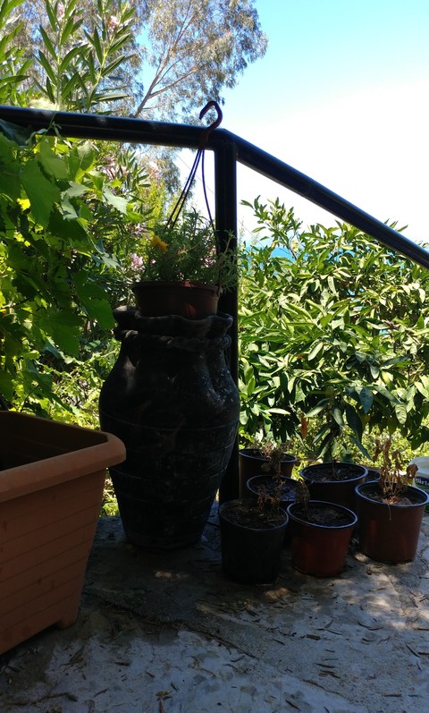 vase