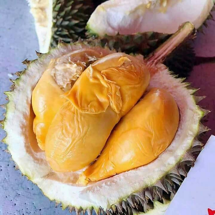 yummy durian