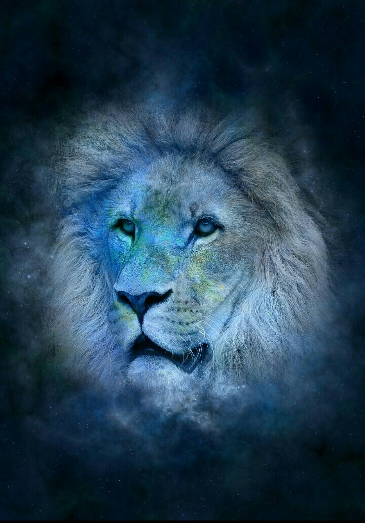 Animal World.