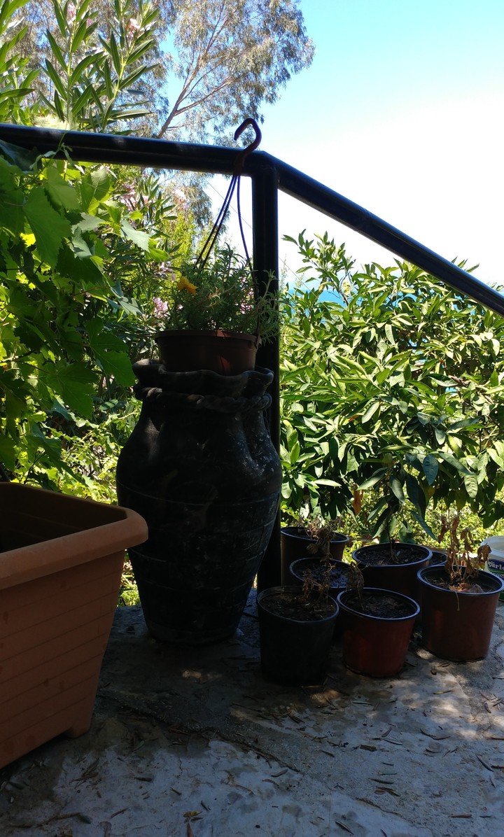 vase