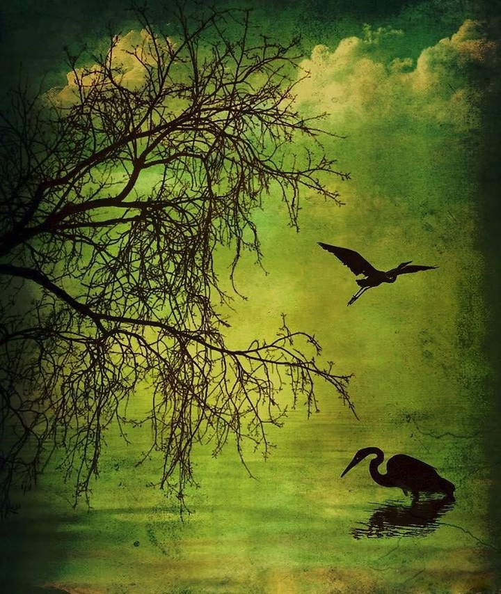 nature