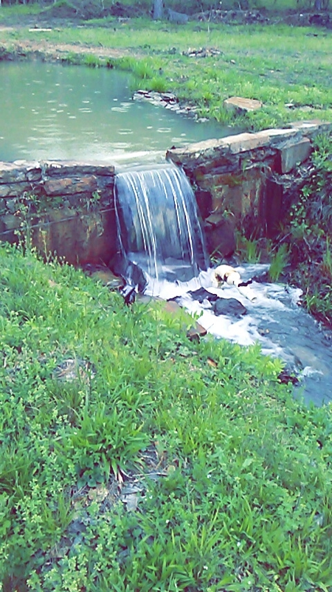 spring water