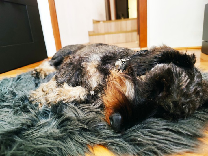 sleepy