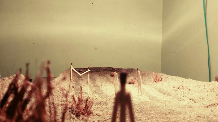 Matchstick Art
