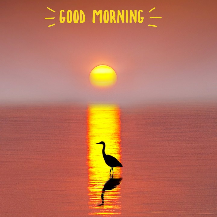 good morning