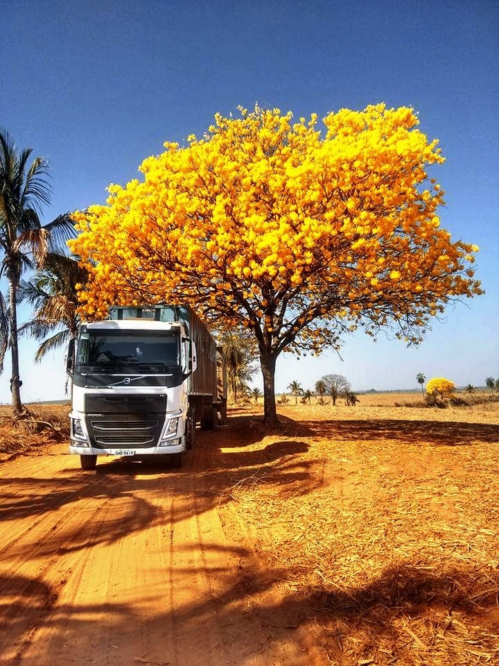 volvo FH 540