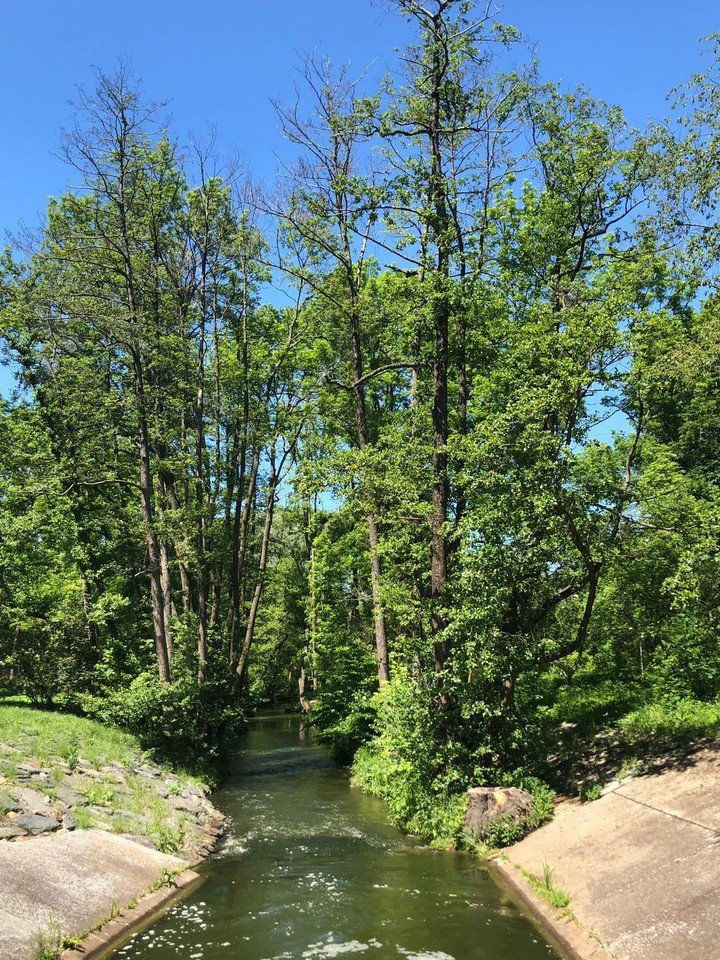 Forestpark Hostivař