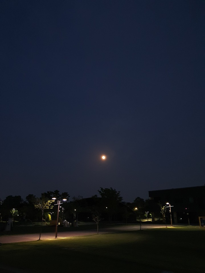 moonlight