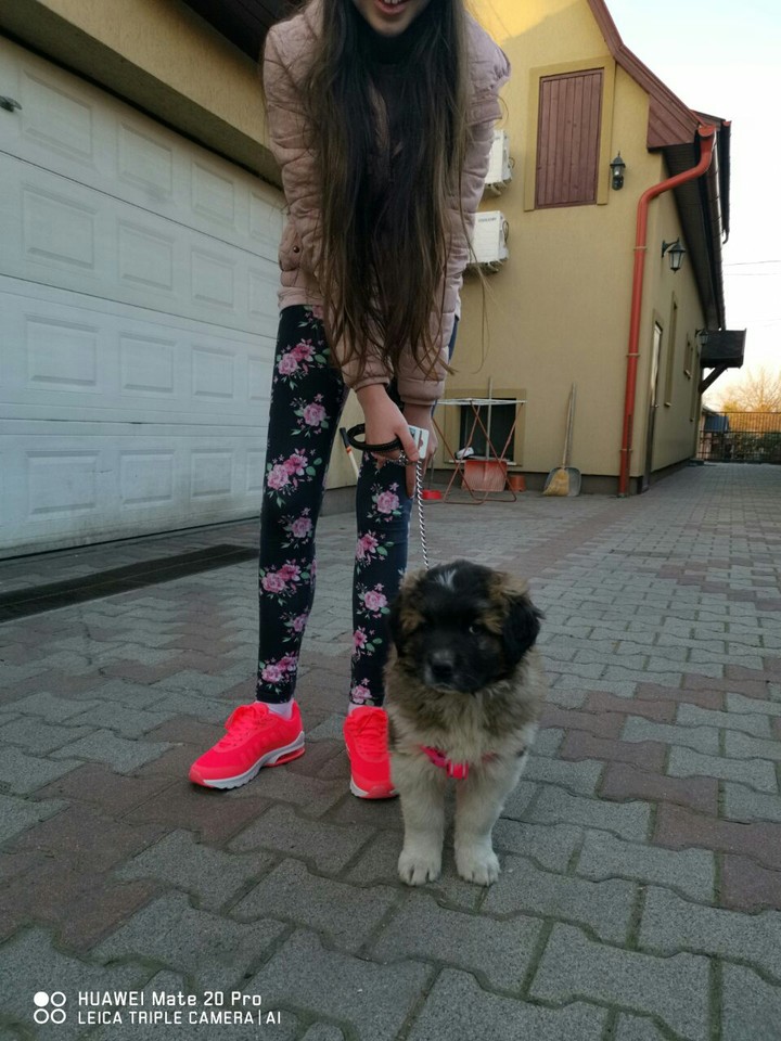 ❤❤❤❤✌✌✌✌ love